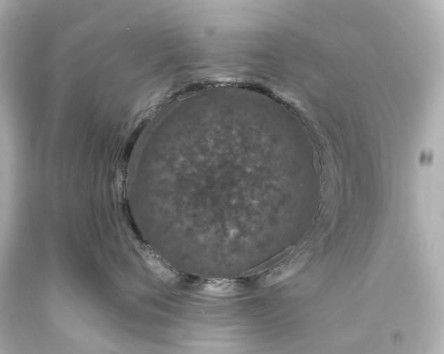 X0000093580720200710291101