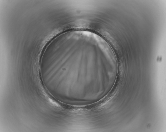 X0000093580721200710291100