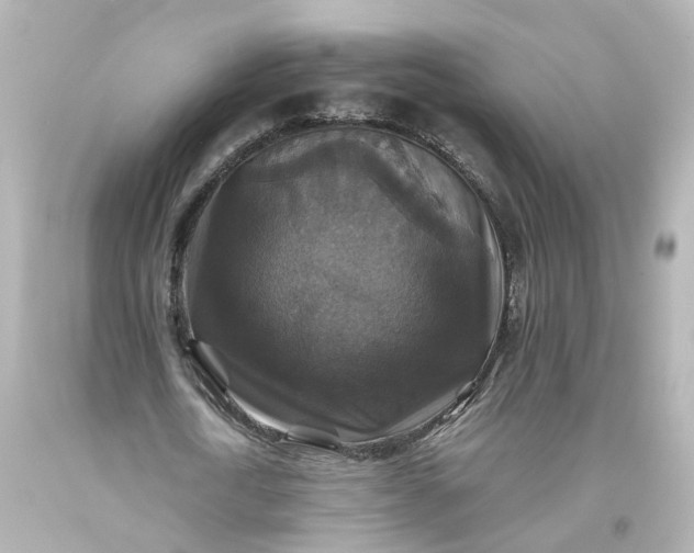 X0000093580722200710291101