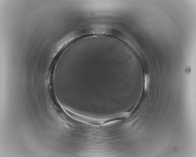 X0000093580723200710291101