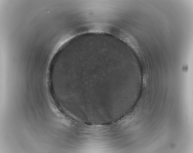 X0000093580724200710291101