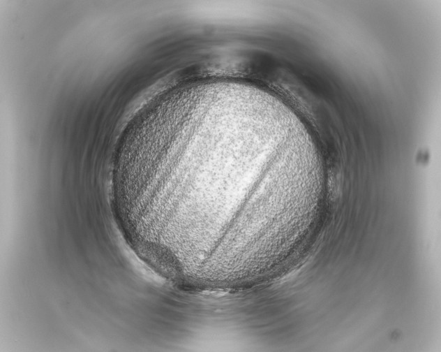 X0000093580725200710291101