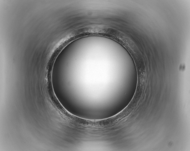 X0000093580727200710291101