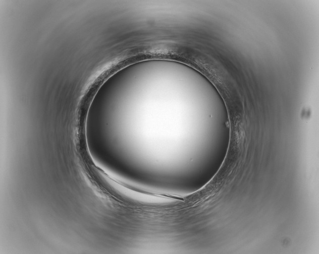 X0000093580728200710291101