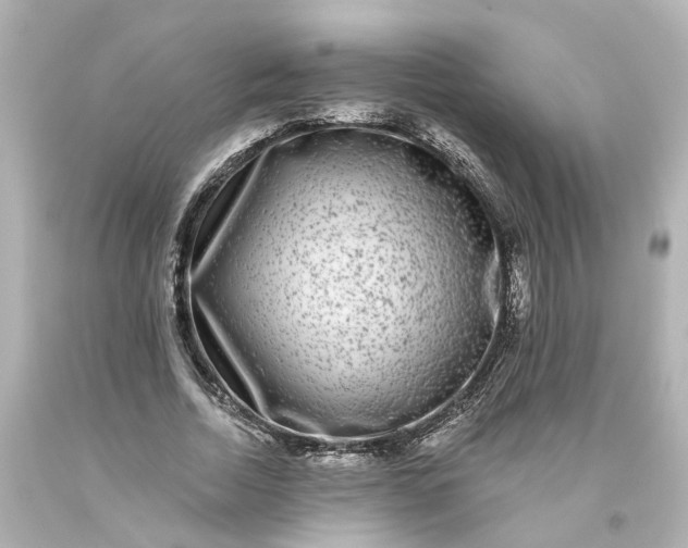 X0000093580730200710291101