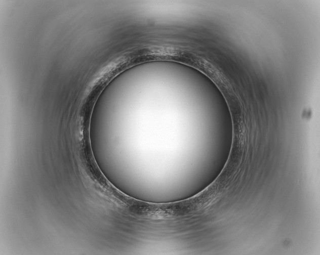 X0000093580731200710291101