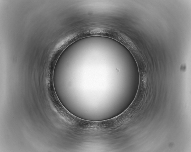 X0000093580732200710291101