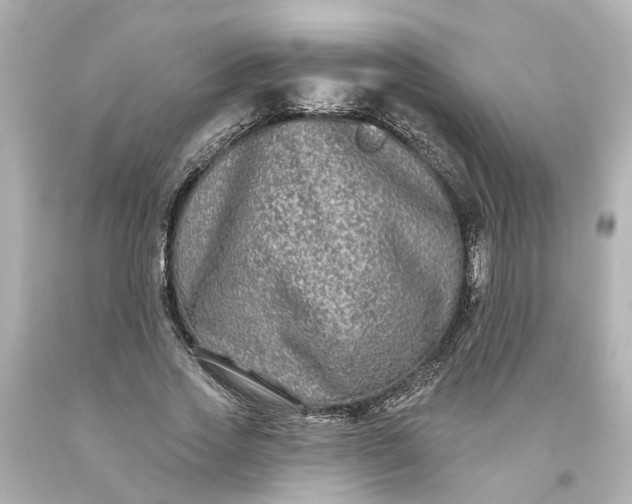 X0000093580733200710291101