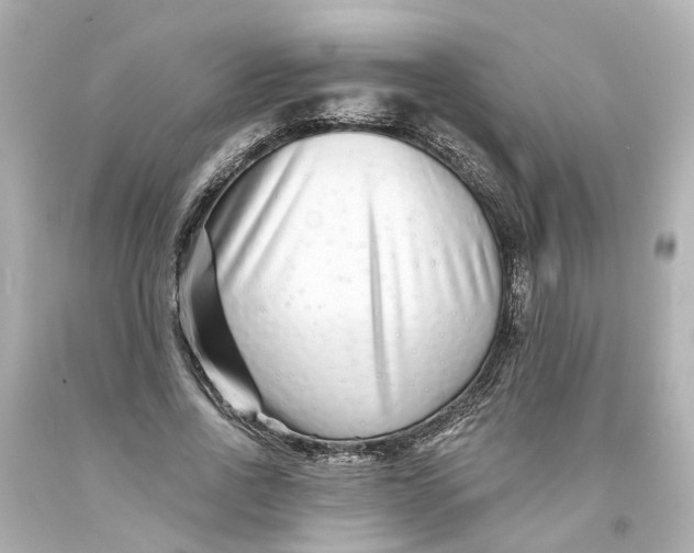 X0000093580734200710291101