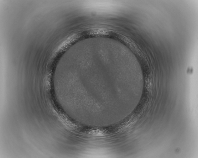 X0000093580735200710291101