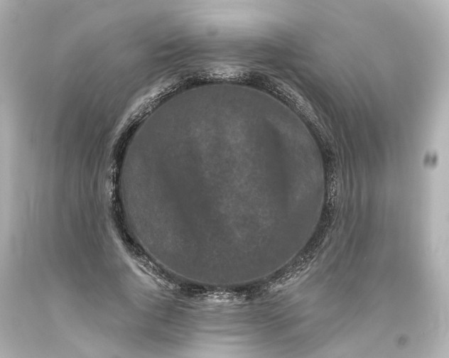 X0000093580736200710291101