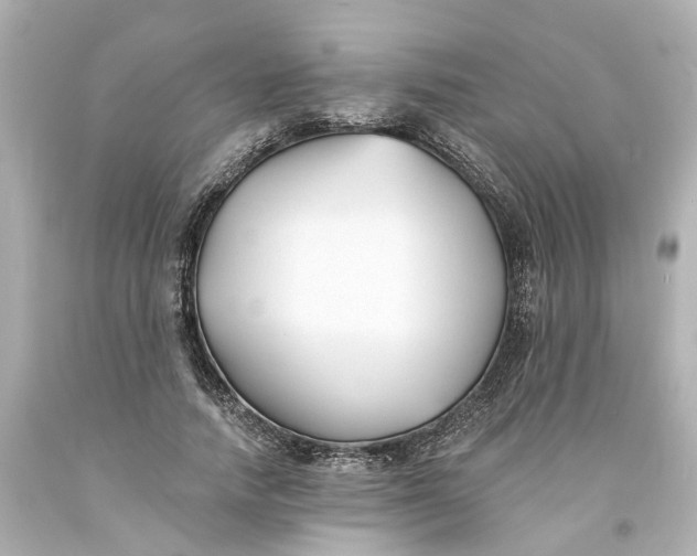 X0000093580738200710291101