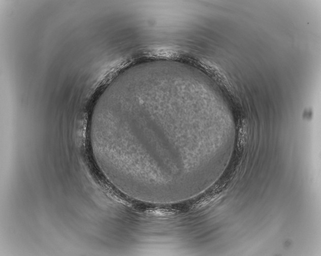 X0000093580739200710291101