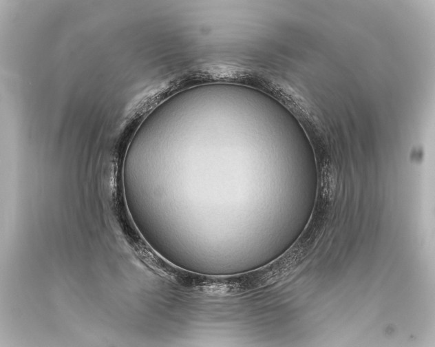 X0000093580740200710291101