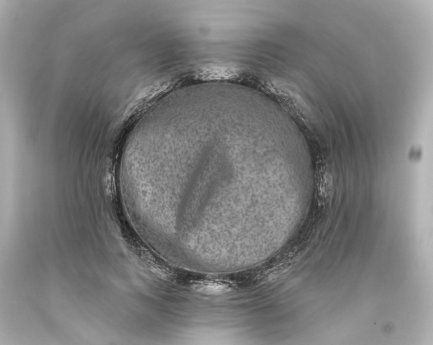 X0000093580743200710291101