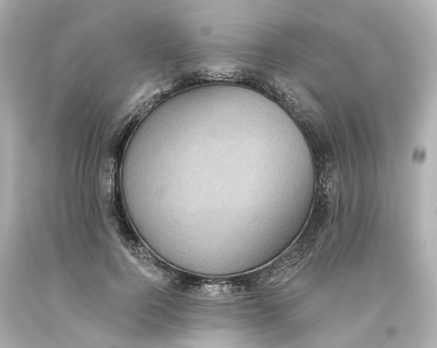 X0000093580744200710291101