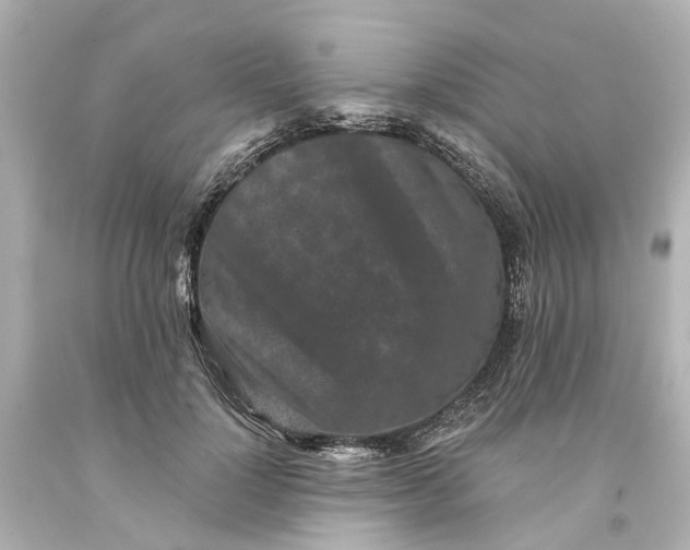 X0000093580748200710291101