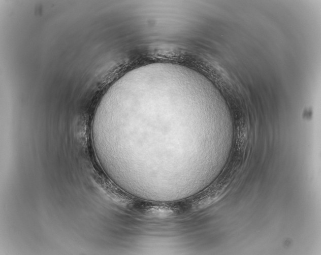 X0000093580749200710291101