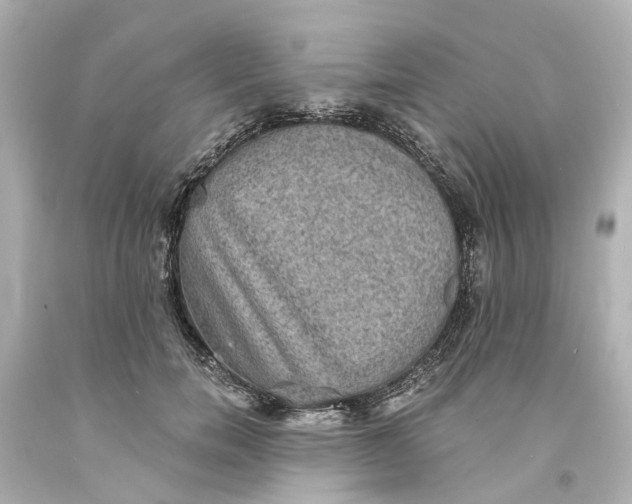 X0000093580750200710291101