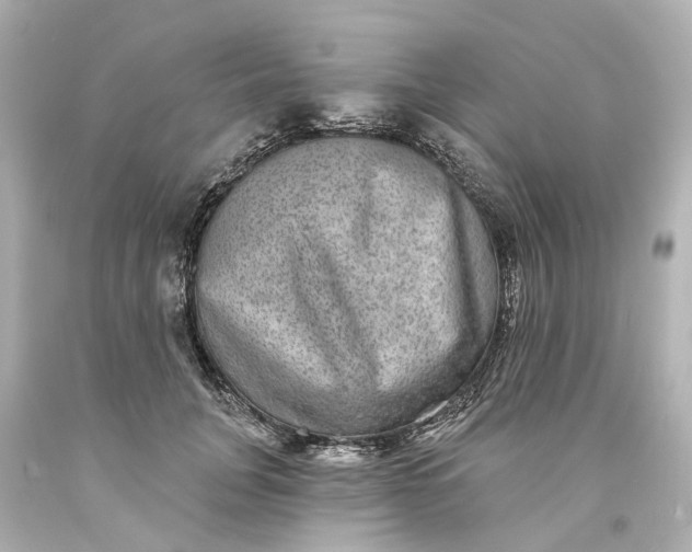 X0000093580751200710291101