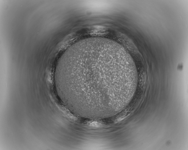 X0000093580755200710291101