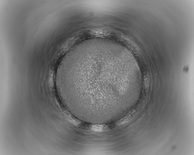 X0000093580757200710291101