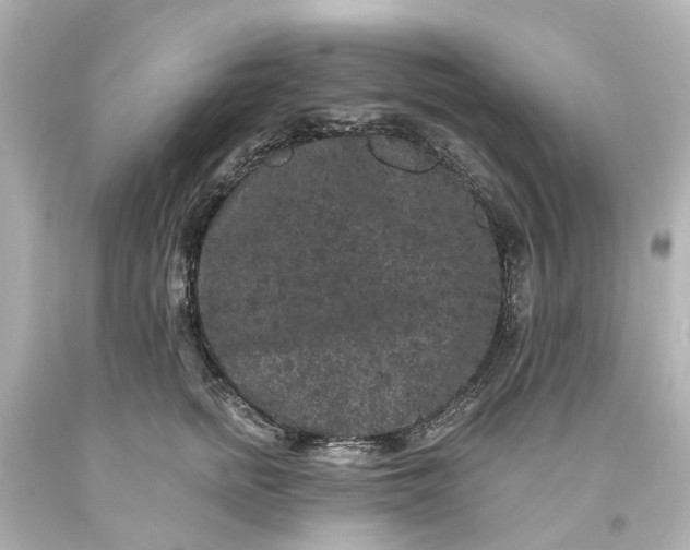 X0000093580758200710291101