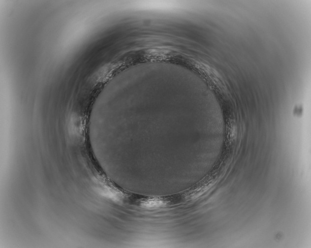 X0000093580759200710291101