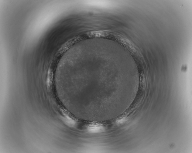 X0000093580760200710291101