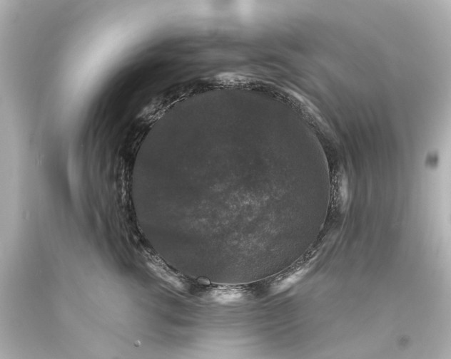 X0000093580762200710291101