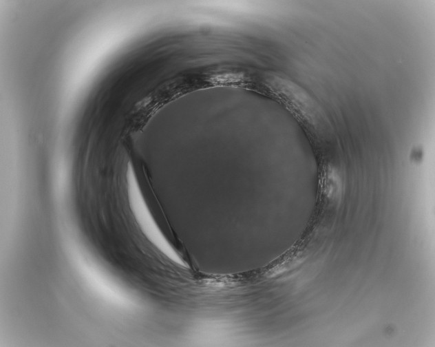 X0000093580763200710291101