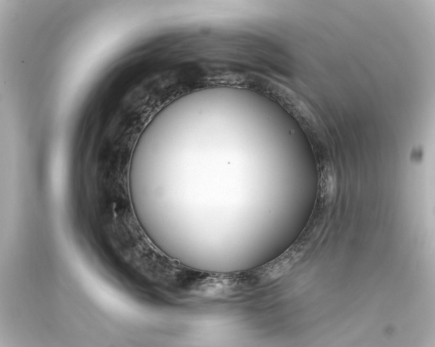 X0000093580764200710291101