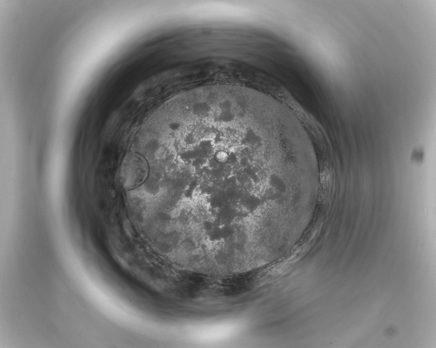 X0000093580765200710291101