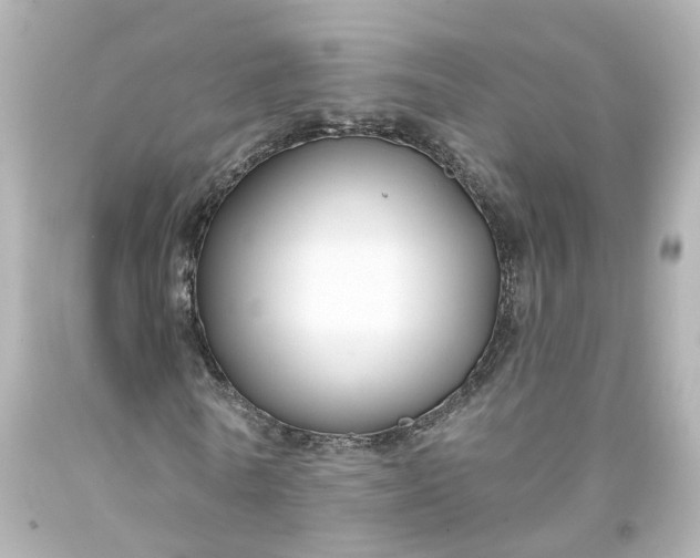 X0000093580770200710291100