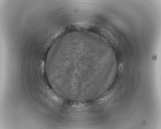 X0000093580772200710291100