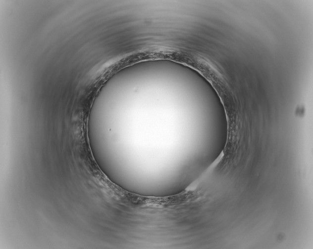 X0000093580773200710291100