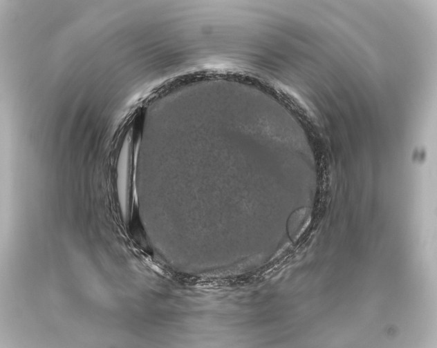 X0000093580776200710291100