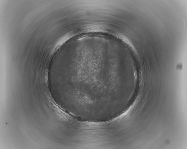 X0000093580777200710291100