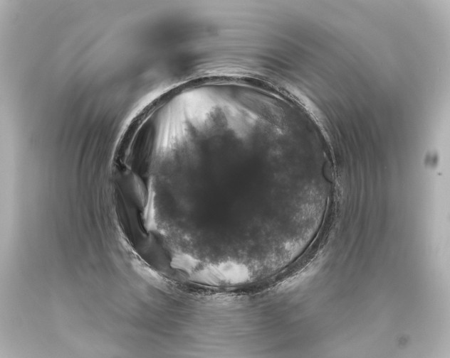 X0000093580779200710291100