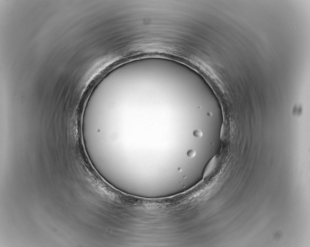 X0000093580782200710291100