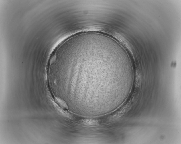 X0000093580789200710291100