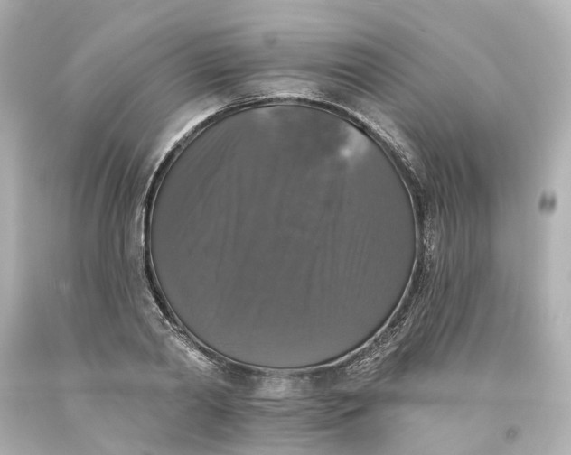 X0000093580790200710291100