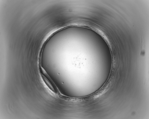 X0000093580803200710291100