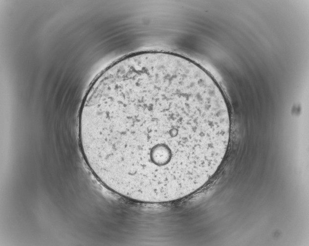 X0000093580807200710291100