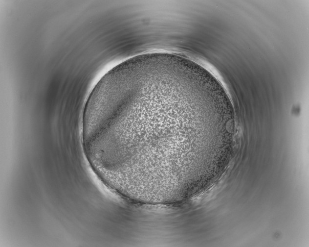 X0000093580811200710291100