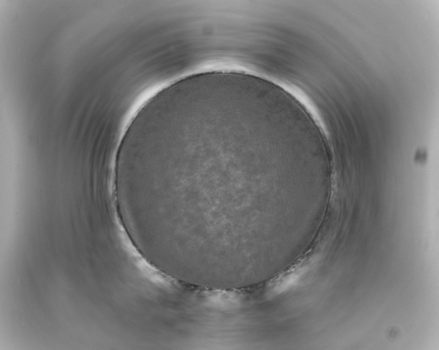 X0000093580815200710291100