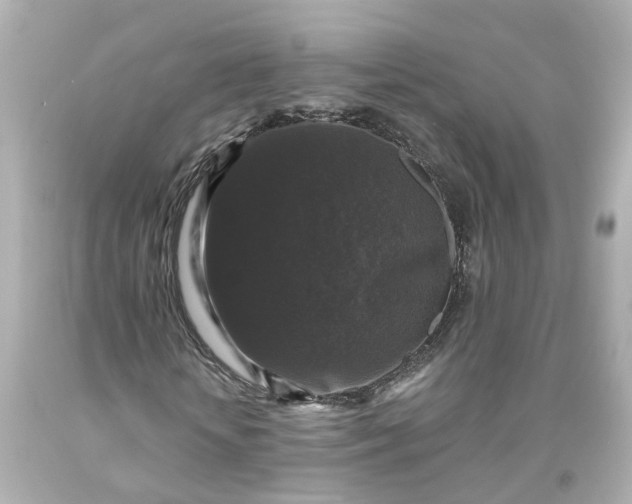 X0000093580818200710291059