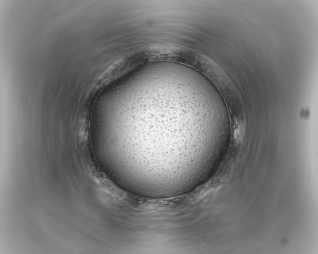 X0000093580819200710291059