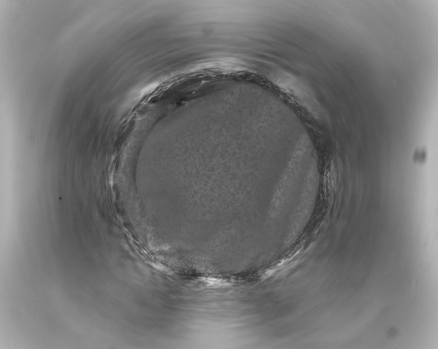 X0000093580822200710291059