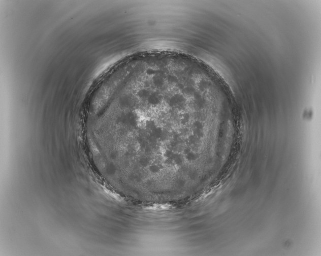 X0000093580823200710291059